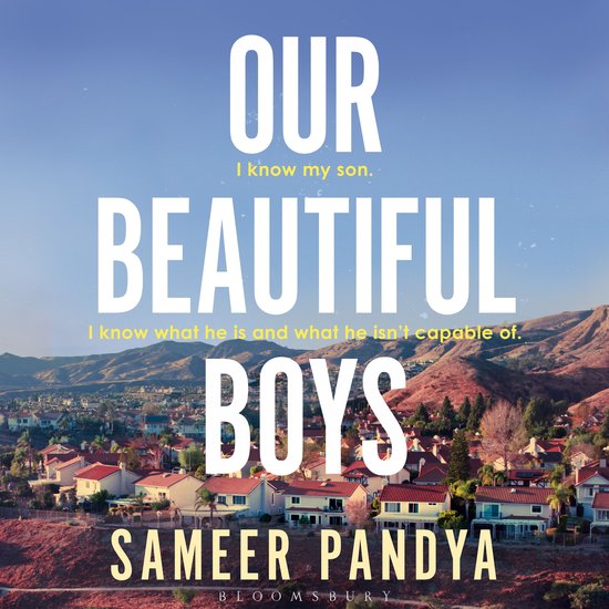 Our Beautiful Boys - cover