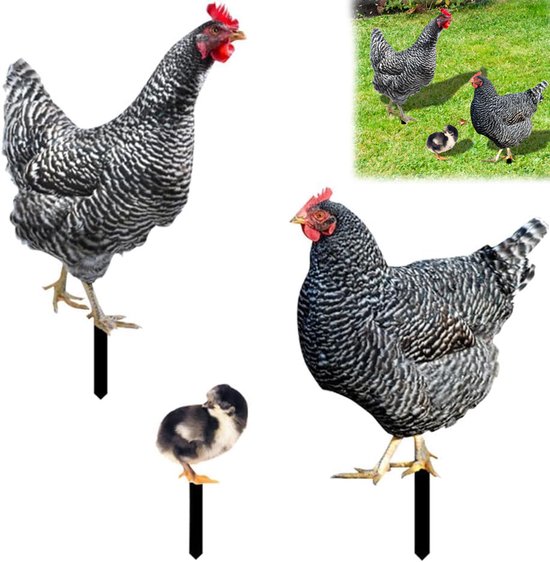 Coq, poule et poussin rayés noirs et blancs avec des tiges métalliques.