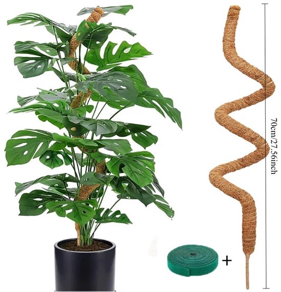 WiseGoods Premium Mosstok 70CM - Plantensteun Klimstok Kamerplanten - Monstera Klimhulp - Mospalen - Plant Stok - Voor Planten
