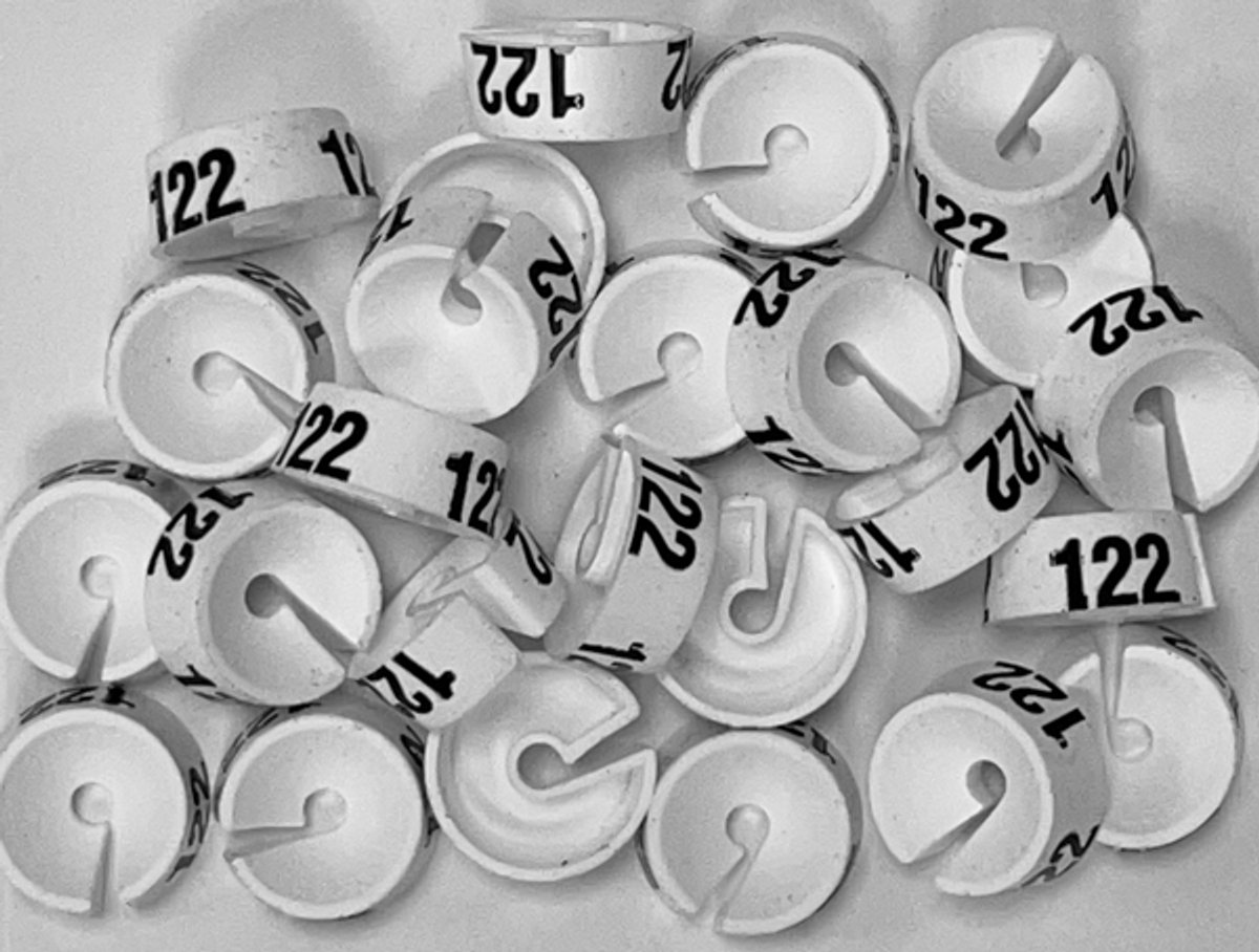 Bleijenberg Maatdopje maat 122 wit - Maataanduiding voor kledinghangers per 25 stuks - Maatringetje Ø 20 mm - Kledinghangers - Kleerhanger - Kapstok - Mark-Brics - wisersizer