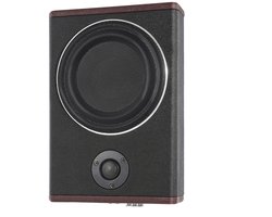Novari - Subwoofer - Subwoofer auto - Subwoofer auto met versterker - Subwoofer actieve - Subwoofer met versterker - 600W - 200Hz