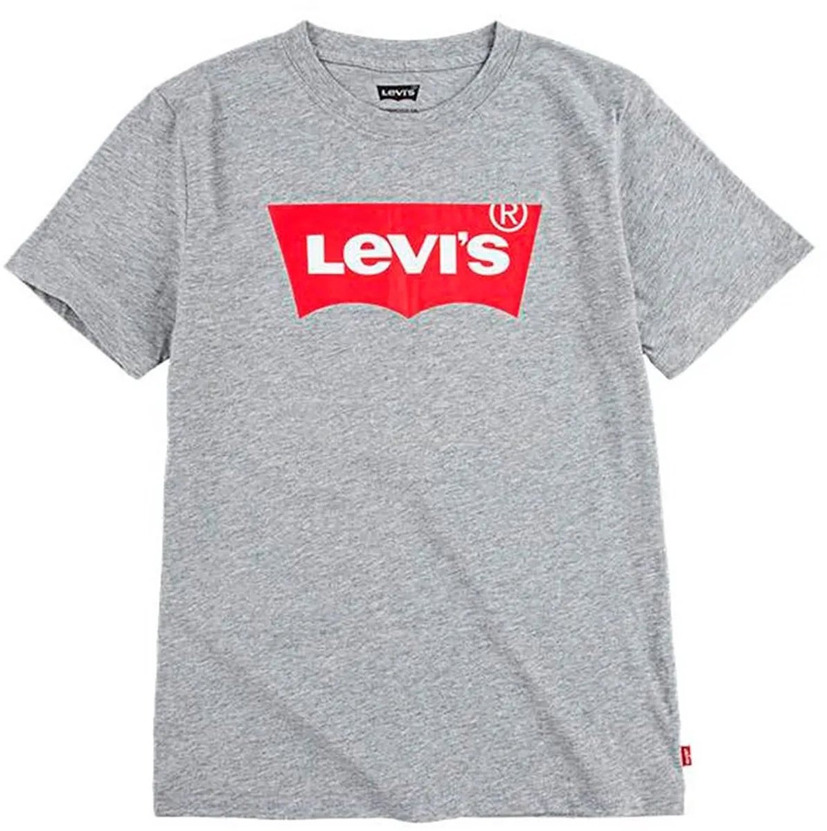 Levi´s ® Kids Batwing T-shirt Met Korte Mouwen 12 Months Kinderen Grijs