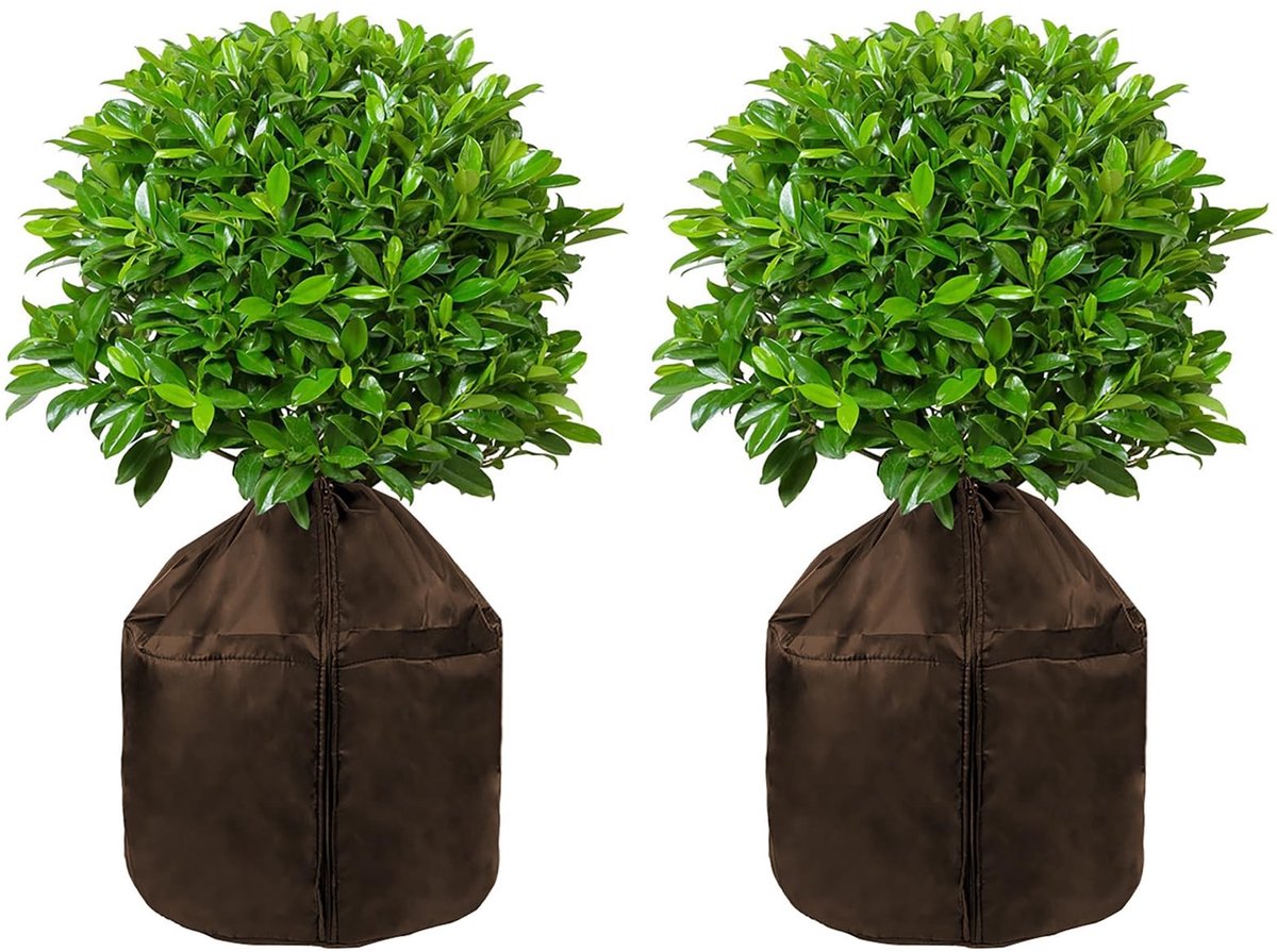 Dailygoods- Plantenwinterbescherming 65 x 70 cm - Vorstbescherming - Plantenhoes met trekkoord - Waterdicht - Robuust - Hoogwaardig 210D Oxford-weefsel