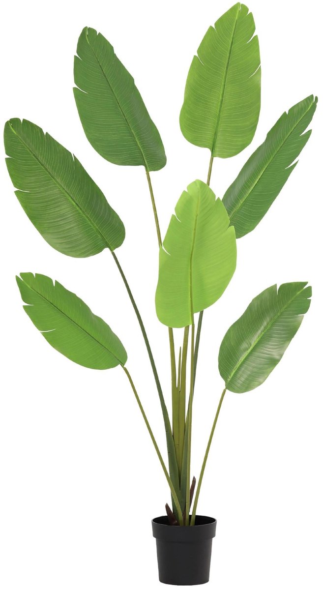 Trendyplants - Kunst Strelitzia Nicolai - Paradijsvogelplant - Kunstplant - Hoogte 170cm - Potmaat Ø23cm
