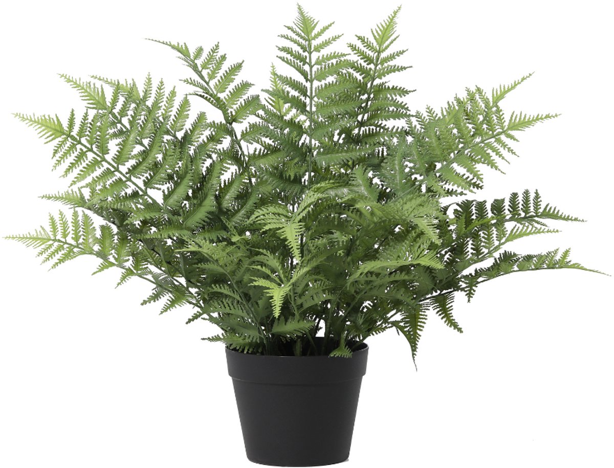 Trendyplants - Kunst Nephrolepis Exaltata - Krulvaren - Kunstplant - Hoogte 59cm - Potmaat Ø18cm
