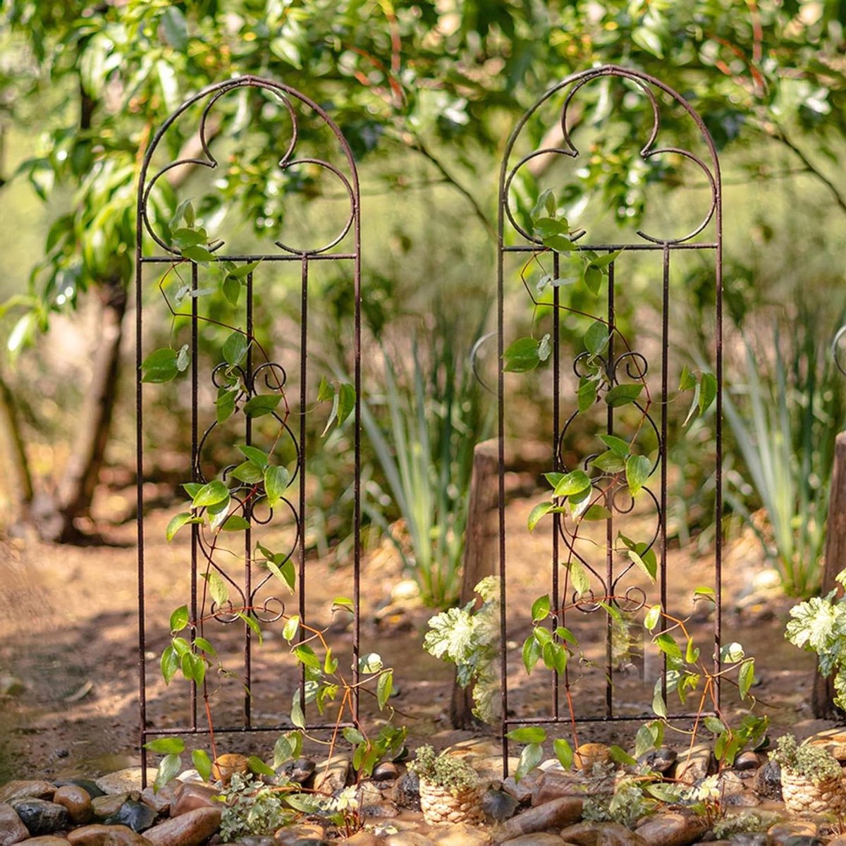 Metalen Tuinrek - Klimplant Steun - Planten Ondersteunen - Geen Montage Nodig - 2 stuks Groot - Naturel