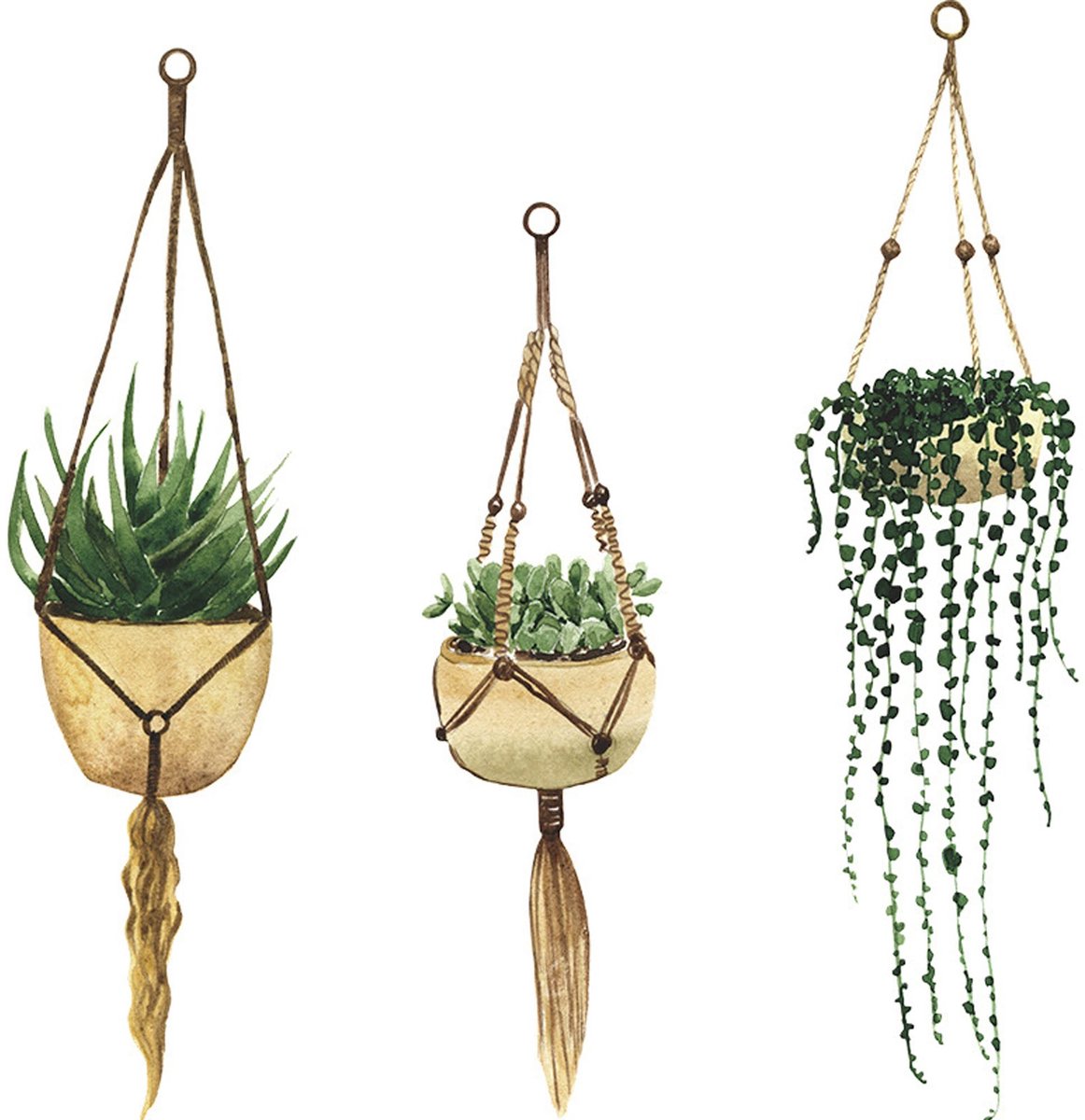 BRENZOOS- Muursticker Hangende Planten - Wanddecoratie Woonkamer - Wanddecoratie Slaapkamer - Wanddecoratie Keuken - Wanddecoratie Nursery - PVC 56 x 59 cm