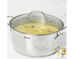 Tefal Intuition Inductie Pan met Deksel - 2,9L, 20cm, RVS