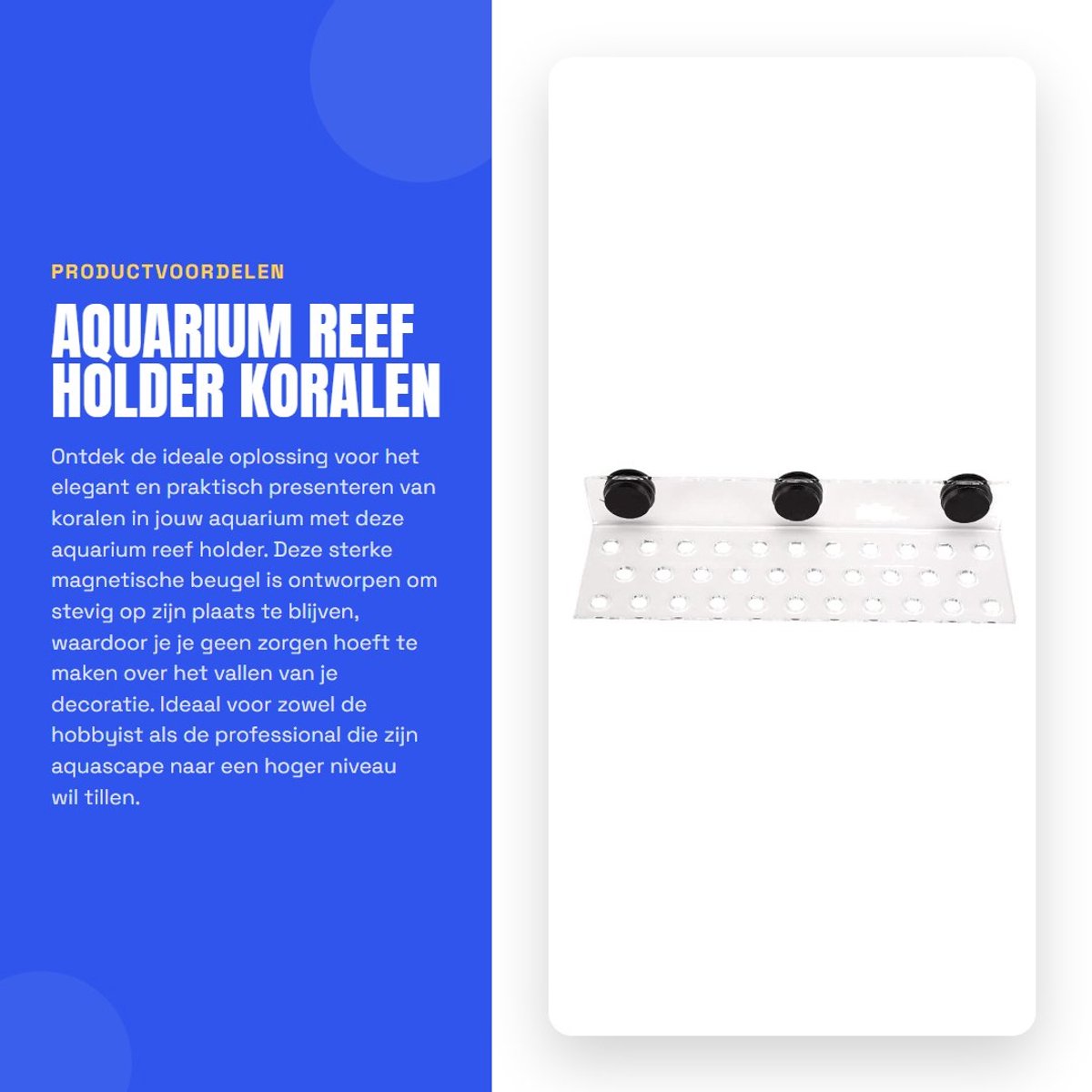 Dailygoods- Aquariumhouder met sterke magnetische bevestiging - Acryl Koraalhouder - Duurzaam Accessoire - 3 Soorten - Betrouwbaar in gebruik - Geschikt voor gezonder koraal