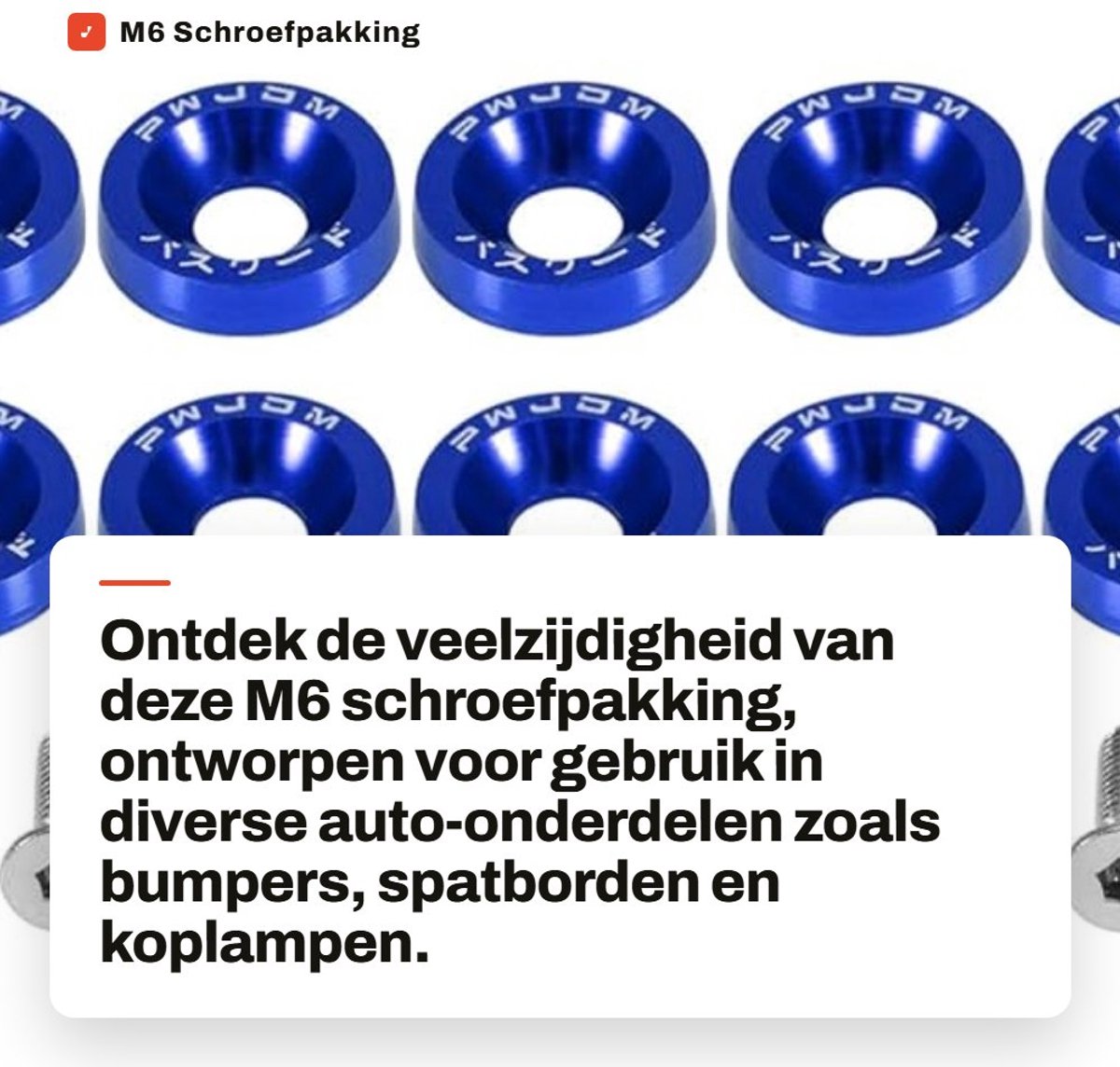 Dailygoods- Schroefpakking M6 - Roestvrij Staal - Platte Ronde Pakking - Auto Accessoire - Decoratieve Schroef - Geschikt voor Kentekenplaat - Schroefring