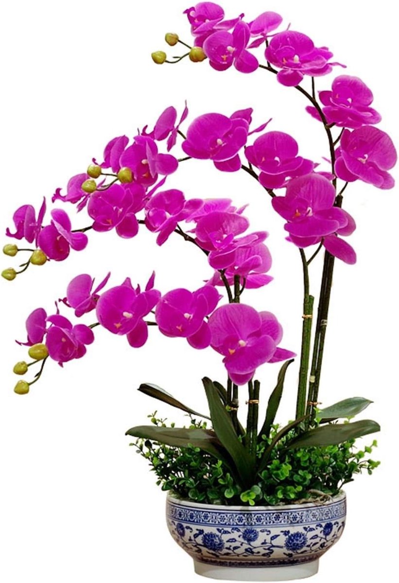 Kunstorchidee met vaas - Nep bloemen - Decoratie huis - Realistisch uiterlijk - 70 cm hoog - Paars