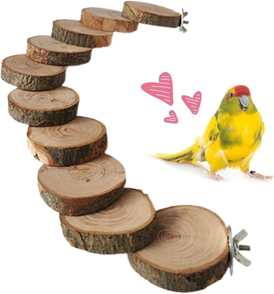 Vogelladder Kooi - Zitstok Klimtouw - Vogel Training - Niet Vervormbaar - 45 x 18 cm - Natuurlijk Hout