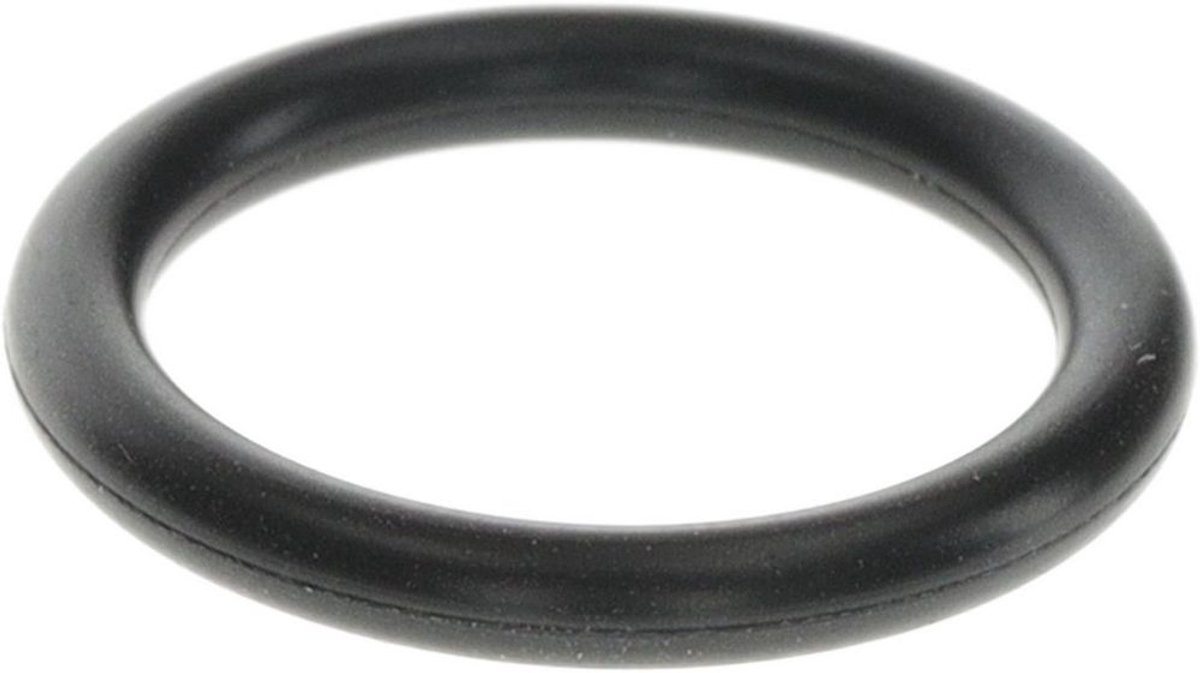 BOSCH O-ring 19x3, 87120050100