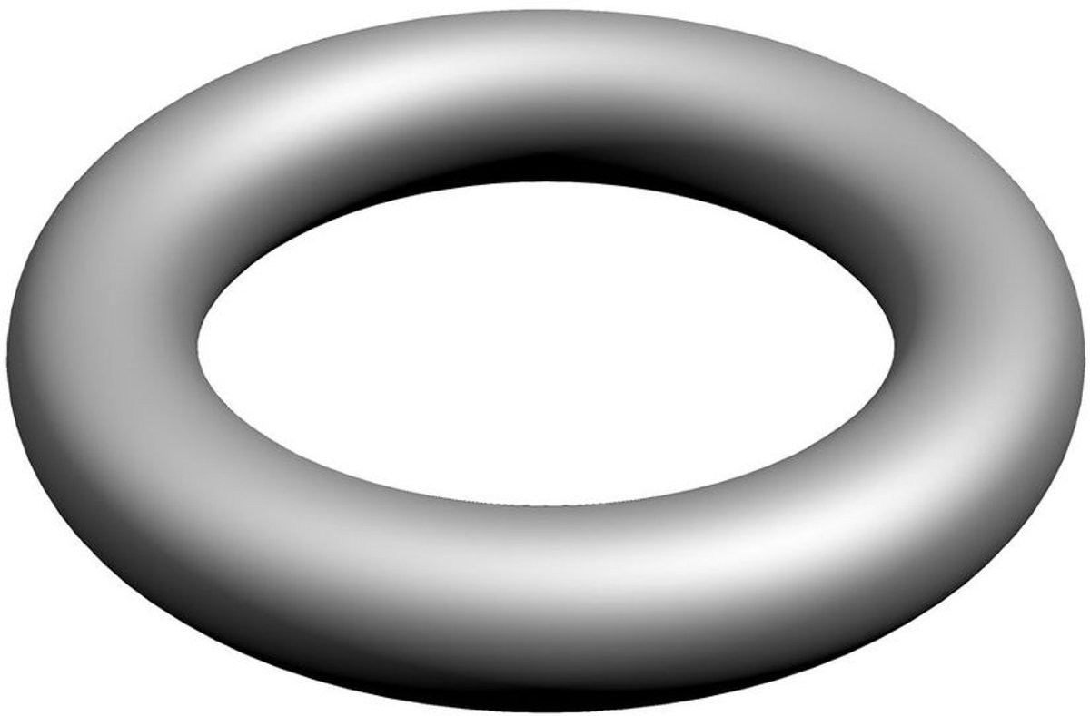 BOSCH O-ring (10x), 87102050660