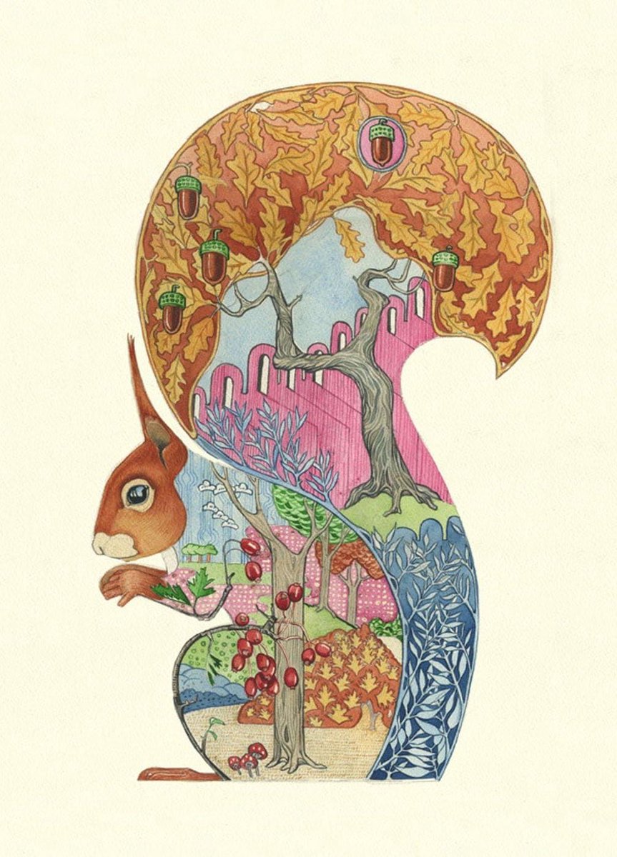 Red Squirrel Card Daniel Mackie Designs 7 x 5 inches black in cello with envelope