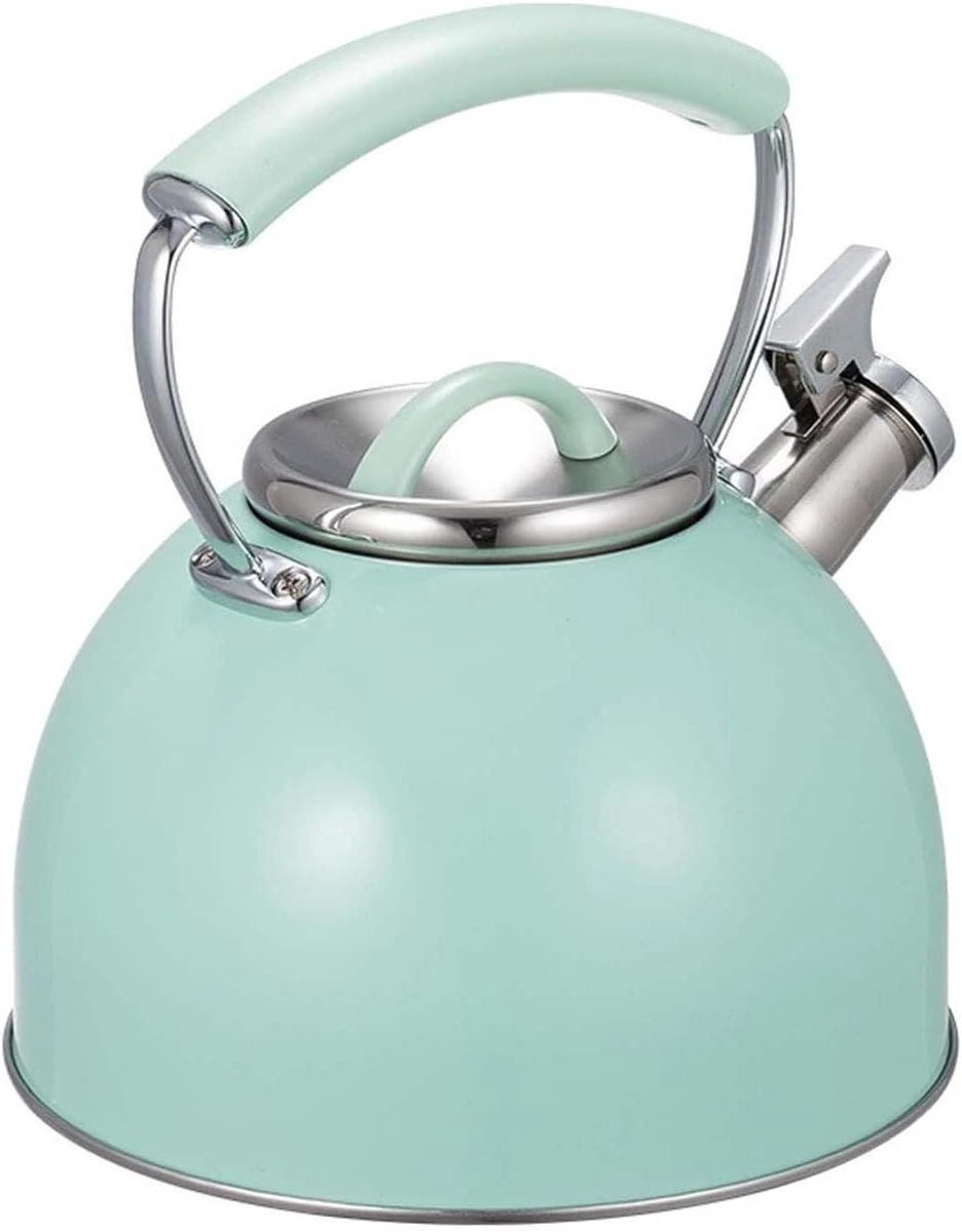 Waterkoker Fluitketel Kookplaat Ketel Water Koken Universele Kookplaat Geschikt 2.5 Liter Zilver