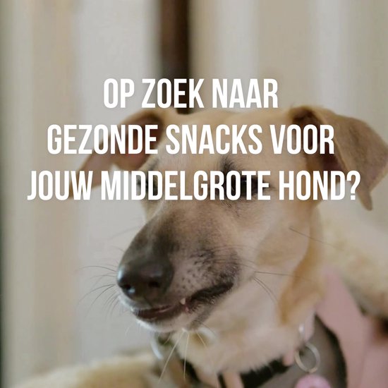Hondensnacks Box 10–25 kg – Mix voor Middelgrote Honden | Bellobox