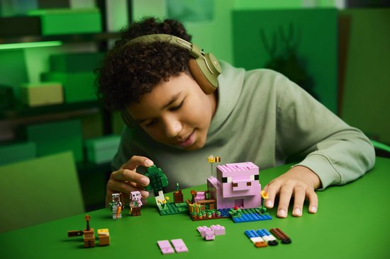 LEGO Minecraft Het huis van het biggetje - 21268