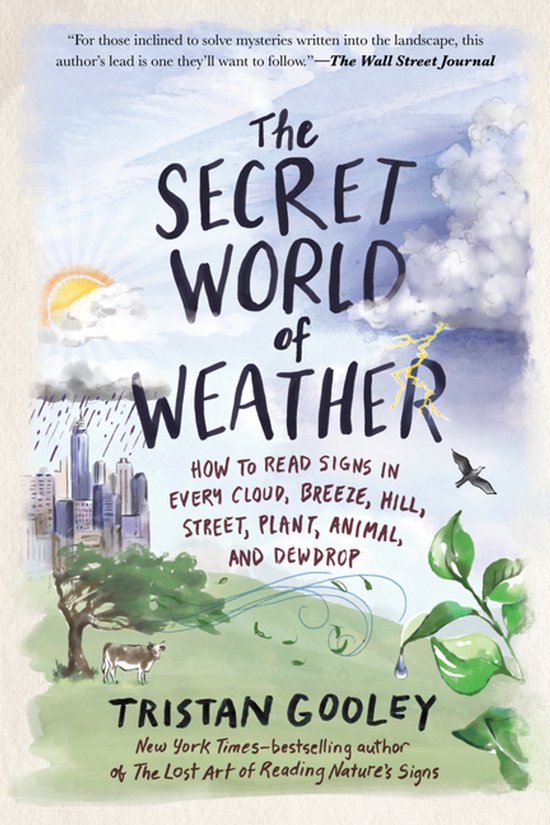 Natural Navigation-The Secret World of Weather - cover