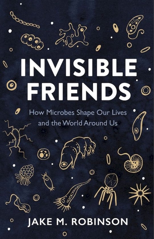 Invisible Friends - cover