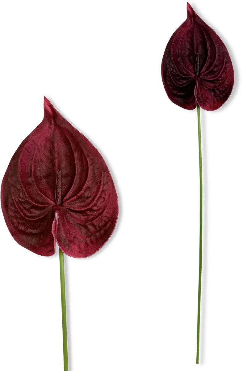 Inspiruj - Kunstbloem - Bordo - 57 cm - Piankowy Anturium