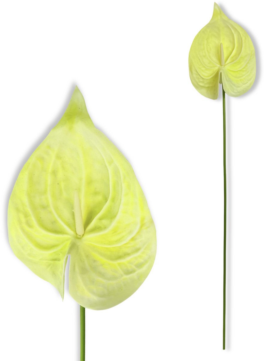 Inspiruj Kunstbloem - Piank Anturium - Crème - 57 cm