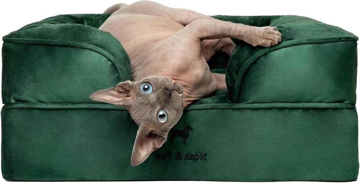 Hondenmand - Kattenmand Sofa - Huisdier Rust - Orthopedisch Traagschuim - 20x15x8 inch - Donkergroen