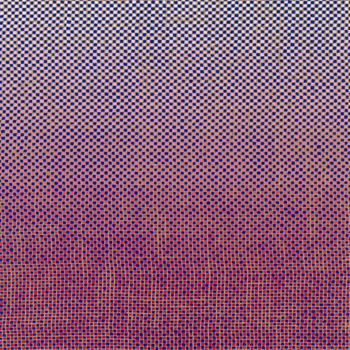 Akinmusire, Ambrose & Mary Halvorson - Slo-Mo Neon Luminate Hoverings (CD)