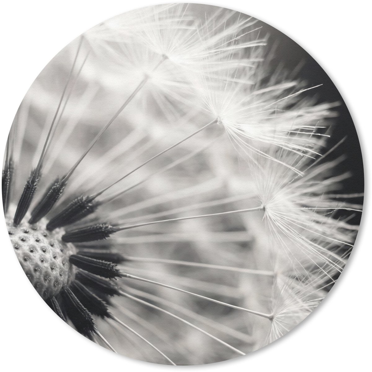 Muismat rond 20x20 cm - Mousepad Paardenbloem - Zwart - Wit - Ronde muismatten