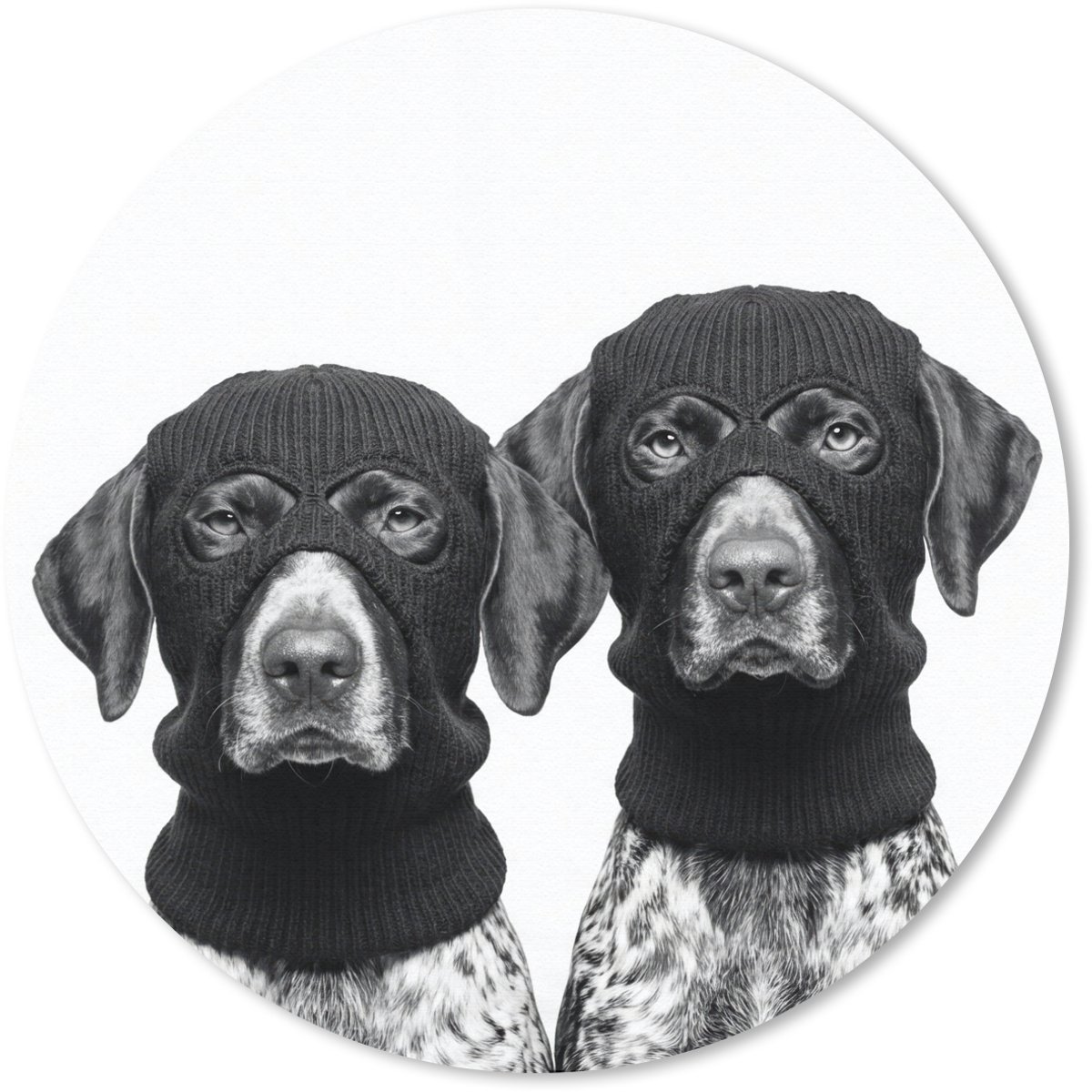 Muismat rond 40x40 cm - Mousepad Honden - Bivakmuts - Zwart - wit - Ronde muismatten