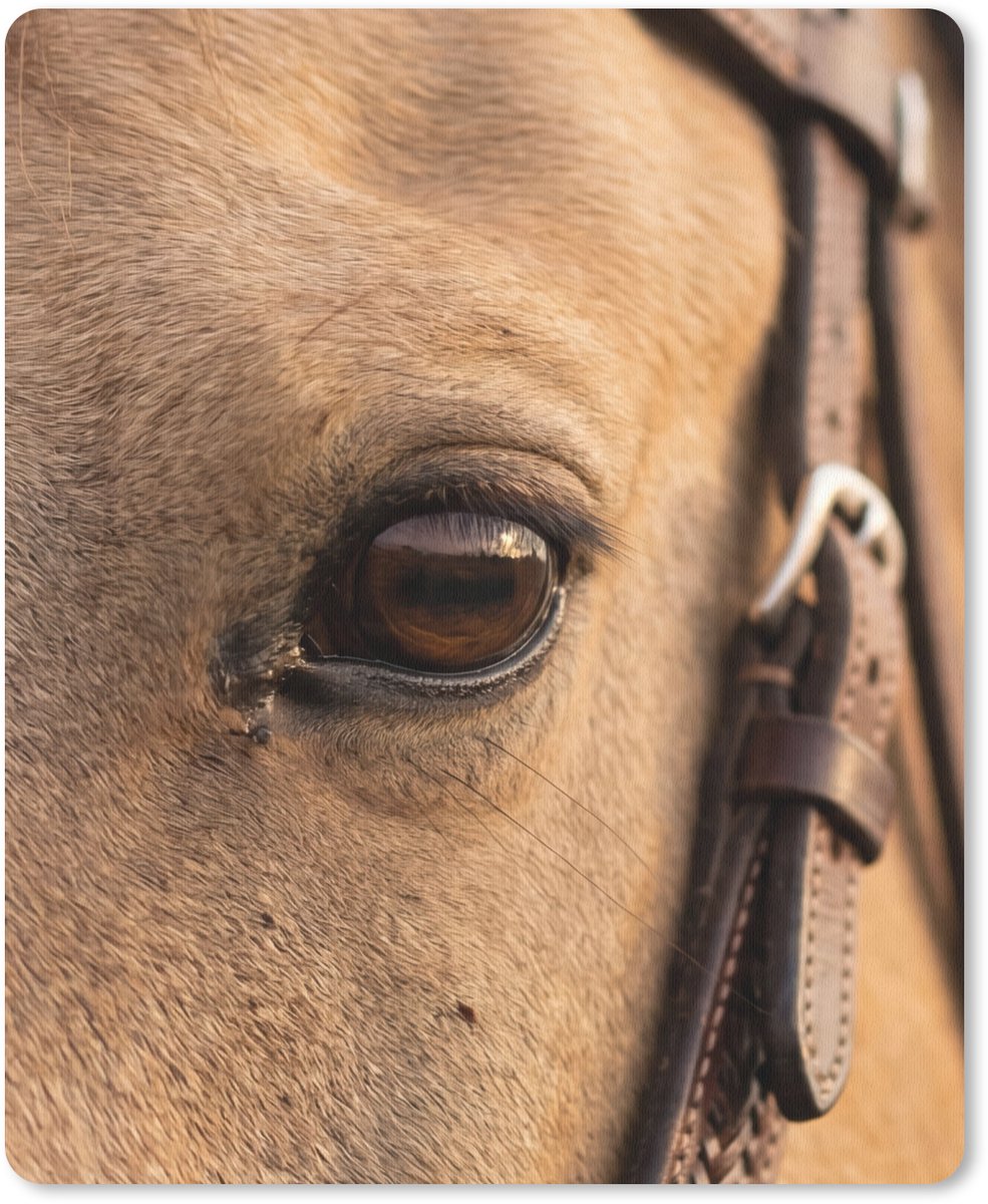 Muismat 12x16 cm - Mousepad Paard - Oog - Bruin - Muismatten