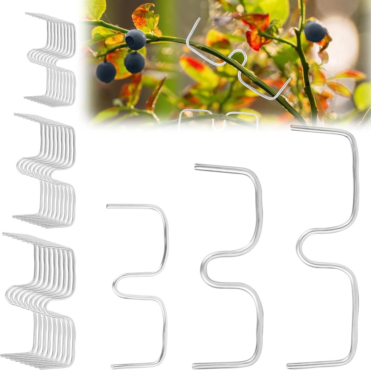 Pack van 30 Fruitboom Taksteunen - 8/10/13 cm - M-Vormige Takhouder voor Fruit - Metaal voor Tuin - Voor Verspreiden en Nivelleren