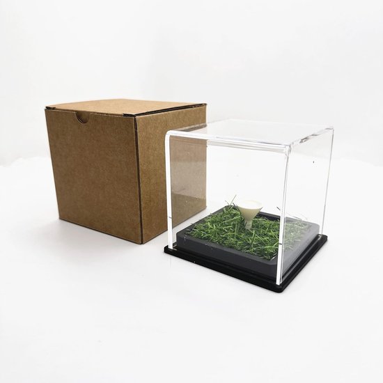HH-GOLF Duidelijke Acryl Golfbal Display Case, Golfbal Showcase voor gat in één bal, Transparante Enkele Golfbal Display Case met Gras Base (Golf Ball Display) — afbeelding 2