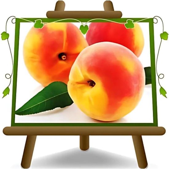 Perzikboom Maycrest - Fruitplant met gele pulp