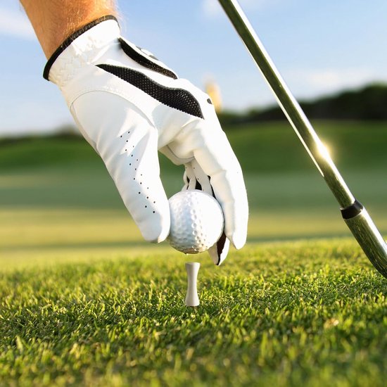 Houten Golf Tees - Golf Accessoires - Golf Swing Training - Verbeterde Duurzaamheid Stabiliteit - 60 Pack Verschillende Maten van houten — afbeelding 2
