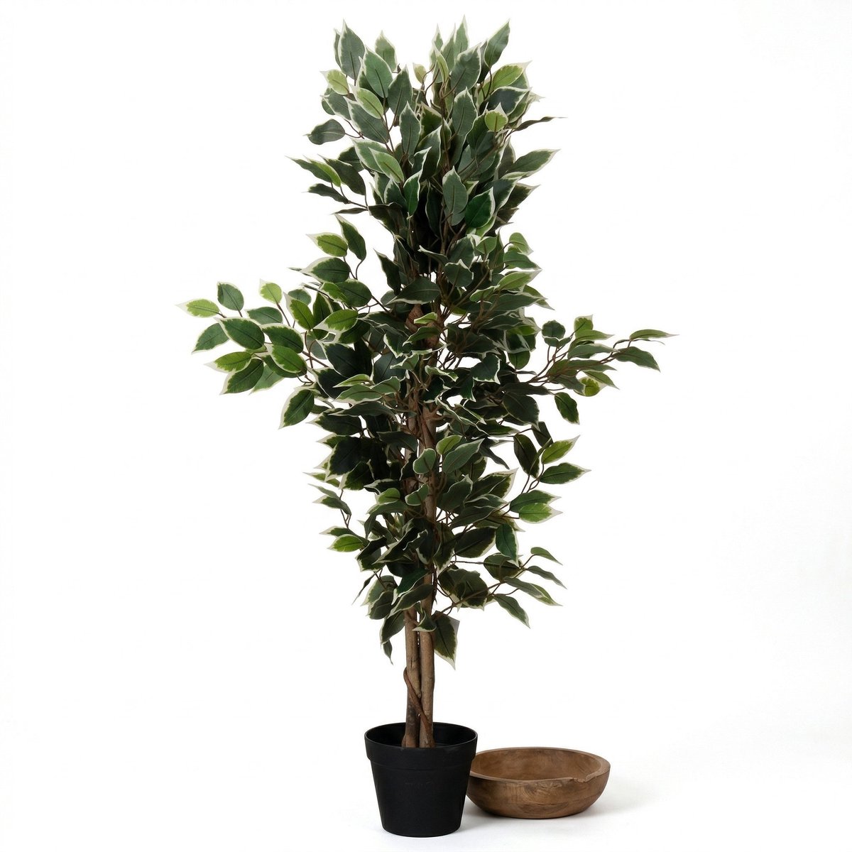 Cheqo® Kunstplant Ficus - Ficus Benjamina - Nepplant - Kunstboom - Treurvijg - Nep Ficus - Kunst Ficus - Kunstficusboom - voor Binnen - Sfeerplant - Decoratie - voor Woonkamer - Kantoorplant