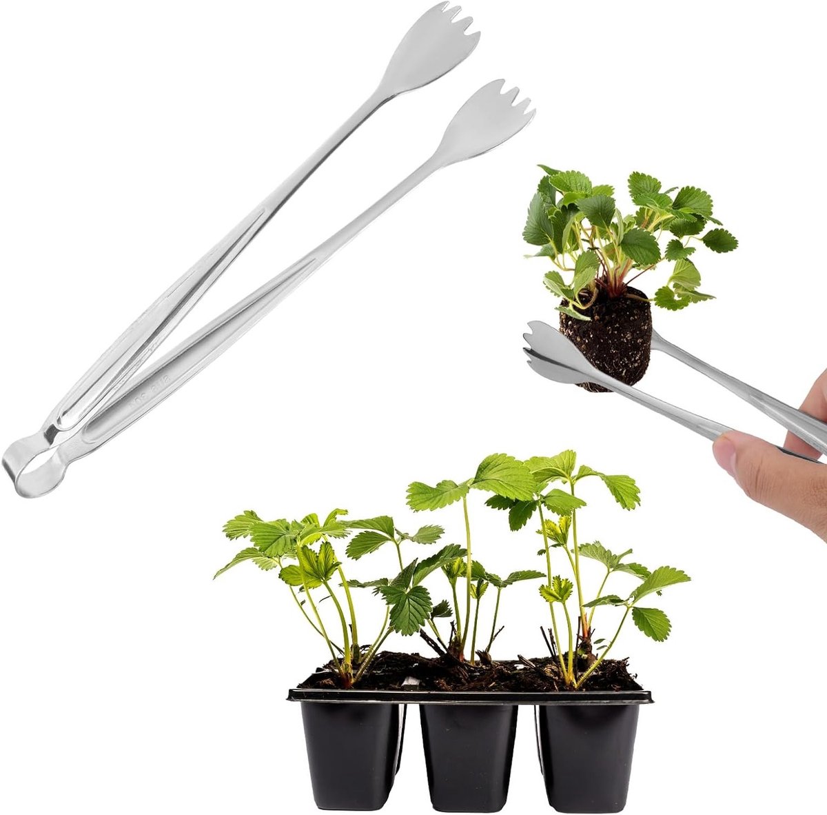 Set van 2 Transplantatiestokken van RVS van 20.5 cm voor het Verplanten van Planten, Tuiniergereedschap voor Minder Wortelschade en Efficiënt Plantenverplanten