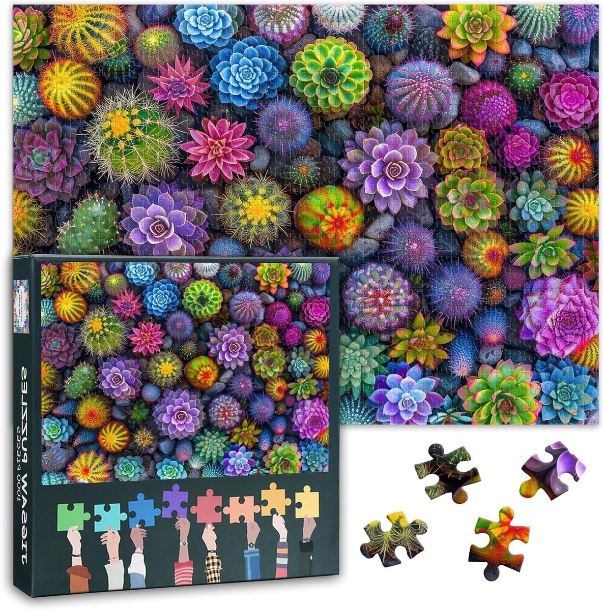 Puzzel 1000 stukjes - Legpuzzel Cactus - Ontspannen Gezinsspel - Kleurrijke Cactuskunst - 70 x 50 cm - Multicolor