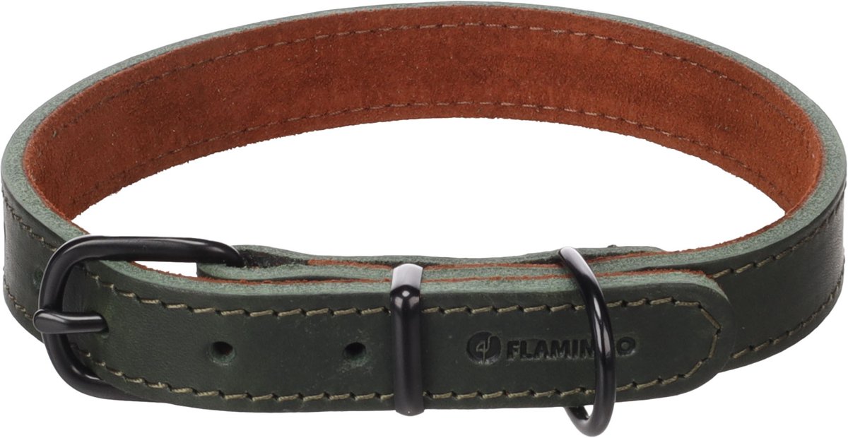Hond Halsband Montana Groen M 37-45cm 20mm