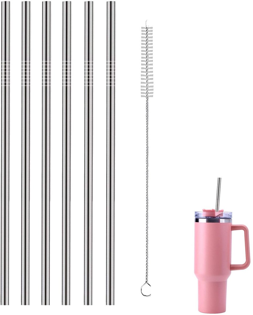 Dailygoods - Set van 6 Roestvrijstalen Rietjes met Reinigingsborstel