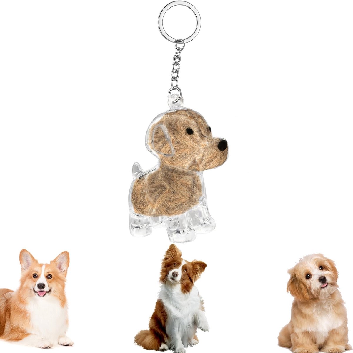 Dailygoods - Sleutelhanger met Hondenhaar en Transparante Opbergdoos