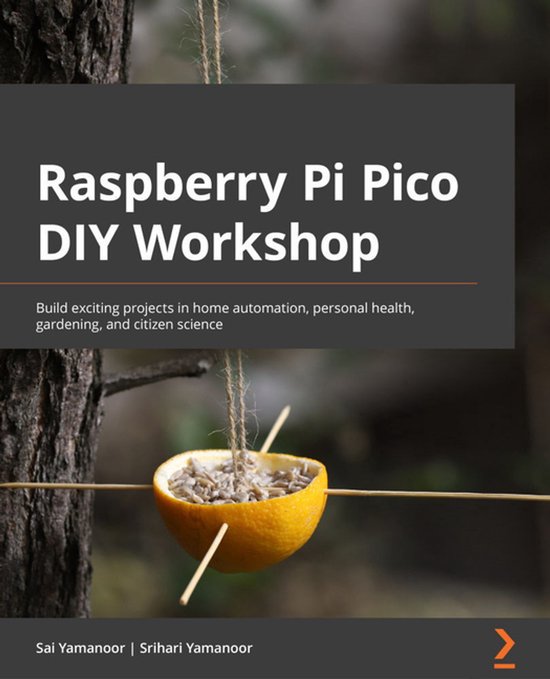 Raspberry Pi Pico DIY Workshop - cover
