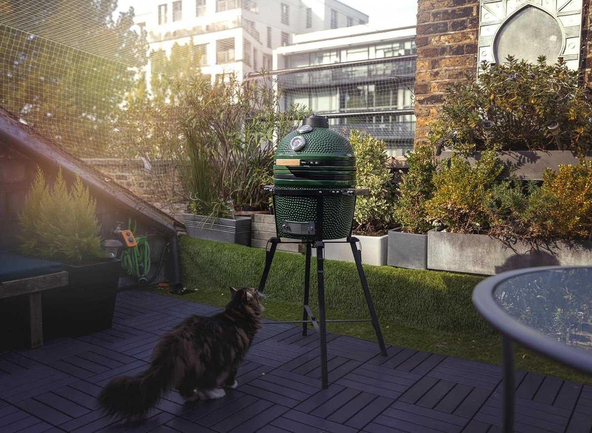 Grill Rooster - Extra Kookniveau - Buiten Koken - Universeel RVS - 40x26x11 cm - Zilver