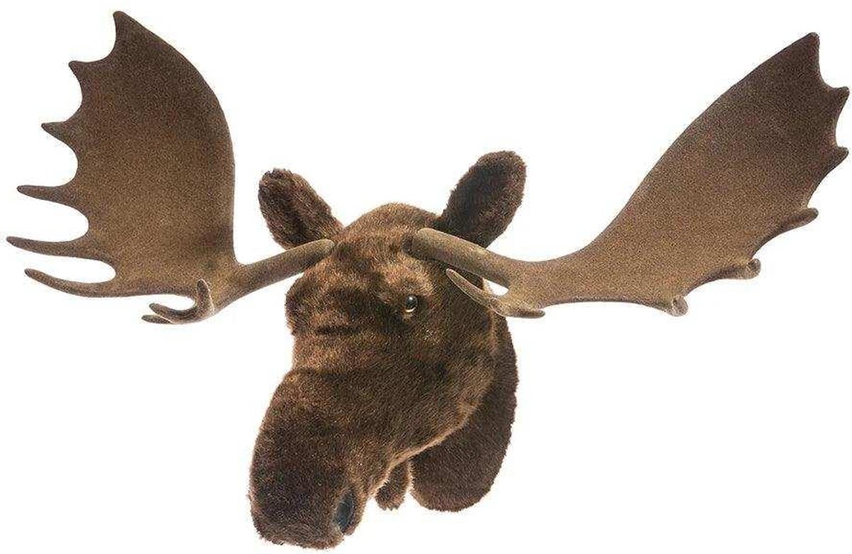 House of Nature Eland hoofd 46cm