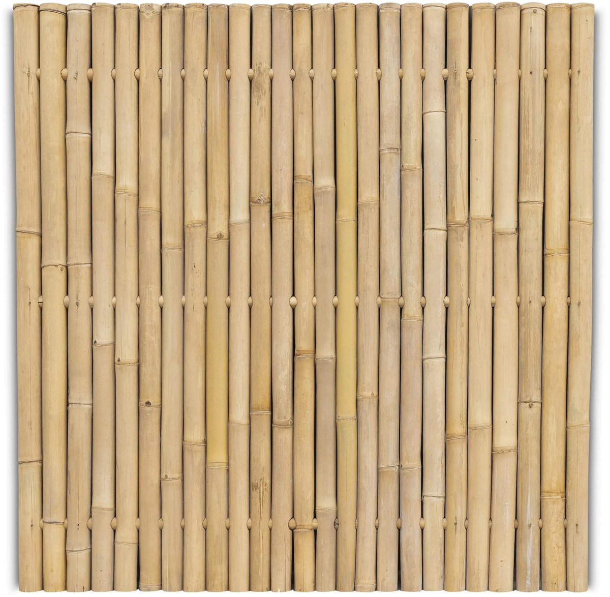 Bamboe schutting - 180 x 180 cm - Naturel - Eviro Bamboe