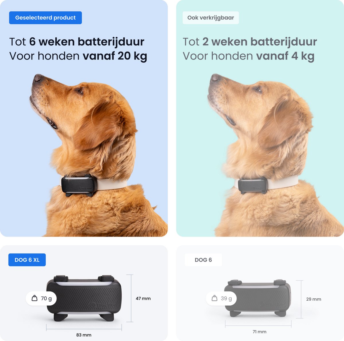 Tractive DOG 6 - Honden GPS met Gezondheid & Activity Functies thumbnail 2
