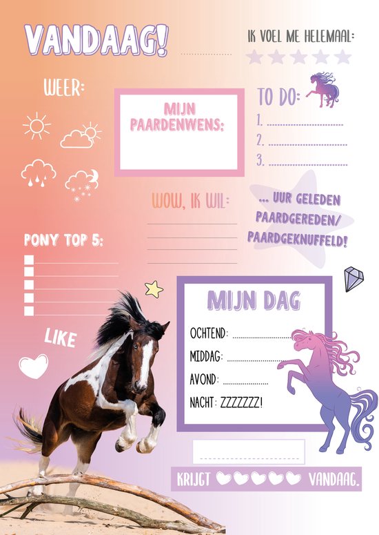 Bruin-witte pony met volle manen, in galop op een zandstrand.
