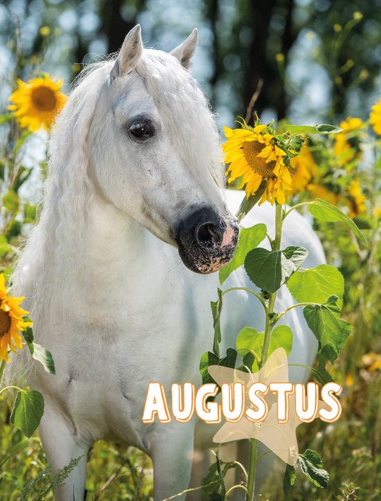Witte pony met lange manen, omringd door zonnebloemen.