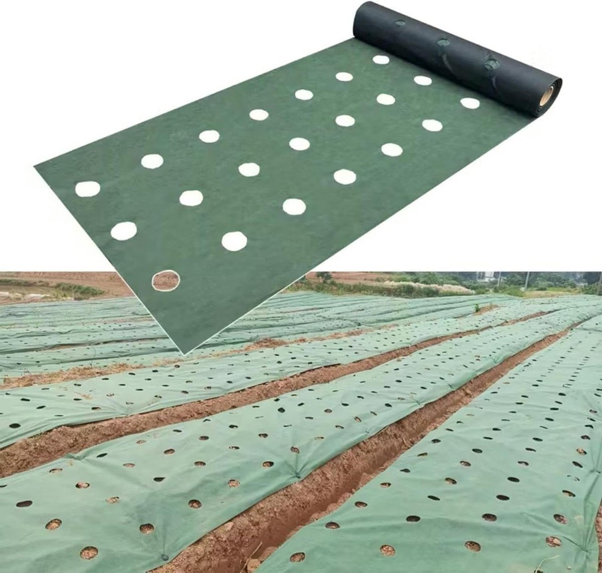 Worteldoek Landschapsdoek - Bodembedekker Onkruiddoek - Tuin Onderhoud - Met 6 Pinnen - 19.7x3.3ft - Zwart