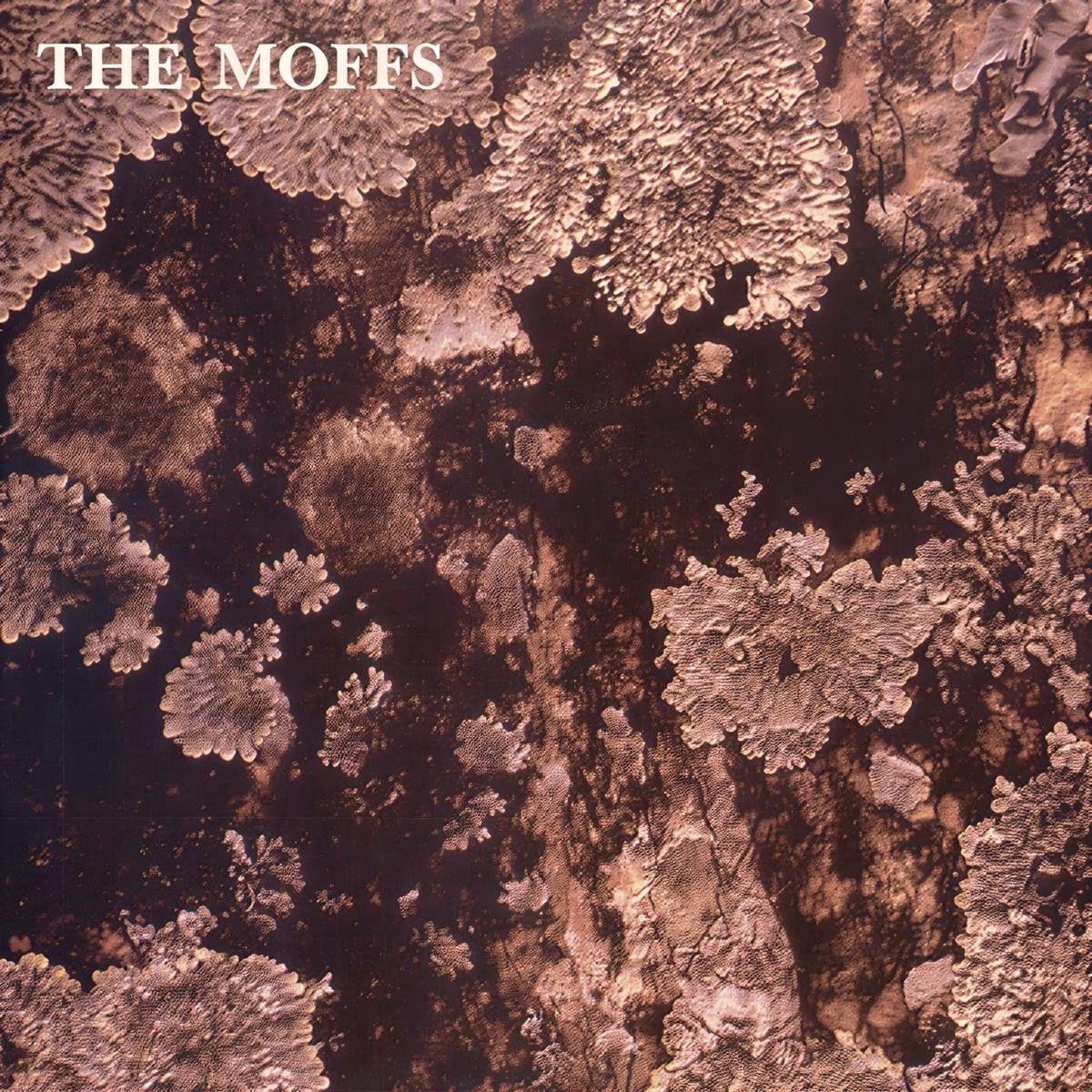The Moffs - Entomology (LP)